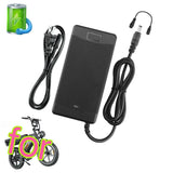 UL Listed AC/DC Charger Compatible with Tamobyke V20 and V20 Pro