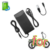 Charger for Rattan LM 500W, LF 500W
