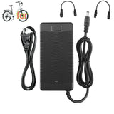 54.6V Battery Charger Compatible with isinwheel U2 Electric Bike