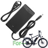 54.6V Charger for Rad Power RadCity 4 5 Plus Step-Thru 3 E-Bike