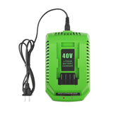 40V Charger for Greenworks 29482 C-220 Battery Charger 29462 29472 2901319
