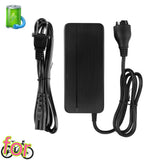 2A Slow Charger for Trek Verve+ 3 powerfly FS 9 equipped  (special plug)