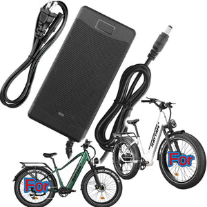 🚲3A AC Adapter for Rattan pathfinder / pathfinder ST 750W Mountain EBike