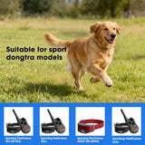 5V Charger for SportDOG SD-425 SD-425S SD-425CAMO SD-825 SD-825X Remote Trainer